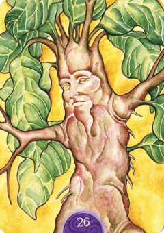 Oráculo Wicca - Tienda Esoterica Online en Buenos Aires ARGENTINA CABA Comprar Cartas Mazos Tarot Cursos Lecturas