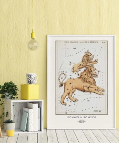 Lámina Constelación Leo