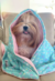 KIT HORA DO BANHO - TOALHA + PORTA SHAMPOO - Yes Puppy