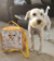 Imagem do Bolsa Lateral quadrada - Kit com 15 unidades