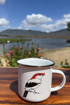 Xícara Soldadinho do araripe