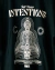 REMERA INTENTIONS - comprar online