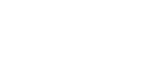 APVS Brasil