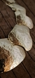 Imagen de FOR ME