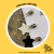 Cursor n°5 niquel - SORTIDOS