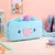 BT21 Estuche Plush en internet