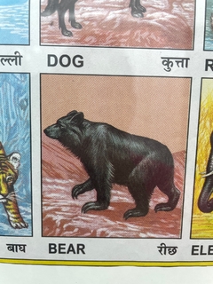 Quadro Indiano Indian Animal Chart