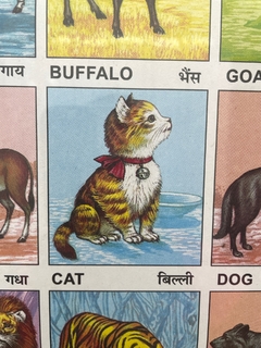 Quadro Indiano Indian Animal Chart - comprar online
