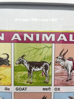 Quadro Indiano Indian Animal Chart na internet