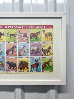 Quadro Indiano Indian Animal Chart na internet