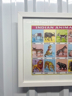 Quadro Indiano Indian Animal Chart - loja online