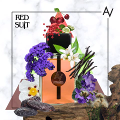 RED SUIT | INSPIRADO EM: ROUGE SMOKING BDK PARFUMS na internet