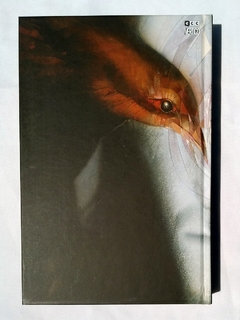 Sandman 1 Edición Deluxe con funda de arena - Krakoom