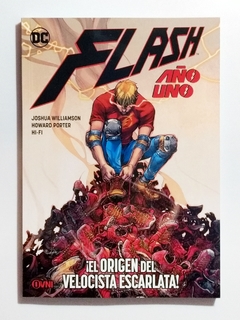 Flash: Año Uno