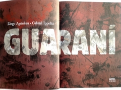 Guaraní en internet