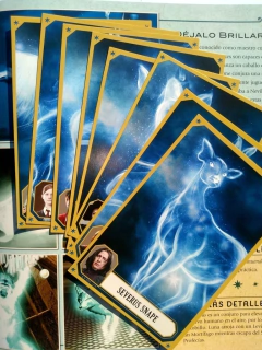 Harry Potter Hechizos y Encantamientos - comprar online