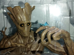 Groot Bustos de Colección