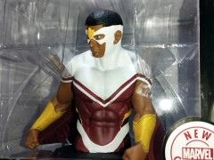 Halcon Bustos de Colección