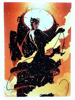 Catwoman Poster