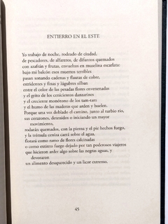 Pablo Neruda Poemas