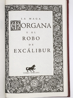 Las crónicas de Excalibur 24