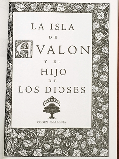 La Isla de Avalon y el Hijo de los Dioses Mitos del Rey Arturo