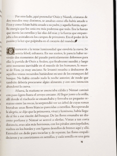 Los Mitos del Rey Arturo Libro 31