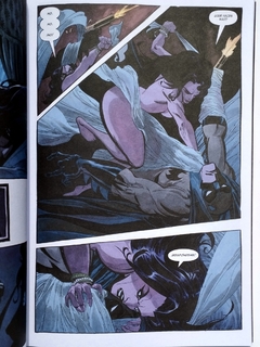 Catwoman Si Vas A Roma Tim Sale