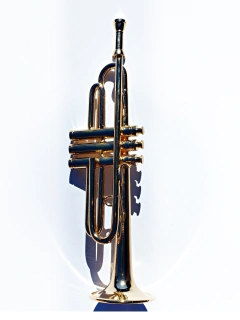 Fiscorno Colección Instrumentos Musicales