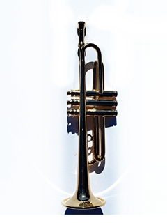 Fiscorno Instrumentos Musicales Miniatura