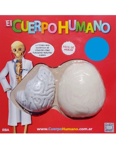 El Cuerpo Humano 2