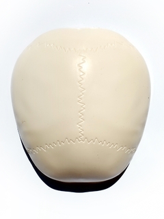 El Cuerpo Humano 2 Craneo