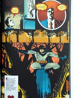 Batman Leyendas del Caballero Oscuro: Rostros