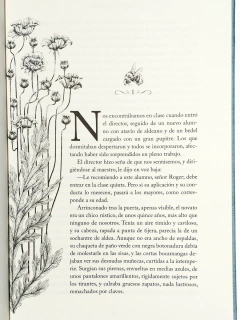 Madame Bovary Gustave Flaubert Novelas Eternas