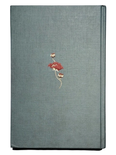 Madame Bovary Novelas Eternas