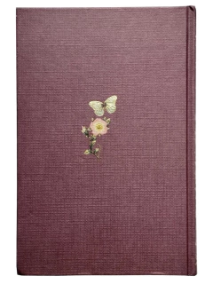 La Letra Escarlata Nathaniel Hawthorne﻿