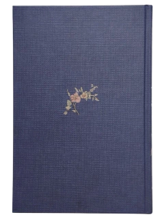 Jane Eyre Charlotte Bronte