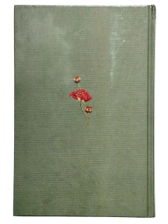 Ana Karenina Novelas Eternas