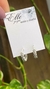 Argollas Susano - comprar online