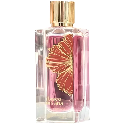 Paris Corner - Ibisco Nirvana