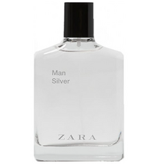 Zara - Man Silver