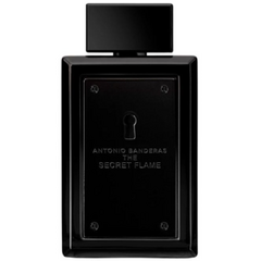 Antonio Banderas - The Secret Flame