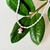 choker floresta carioca - Cabide Carioca