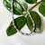 choker urbana - comprar online