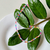 choker fun - Cabide Carioca