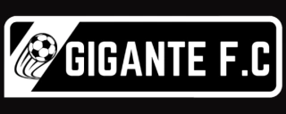 Gigante F.C  |  A Loja do Torcedor Apaixonado pelo Vasco