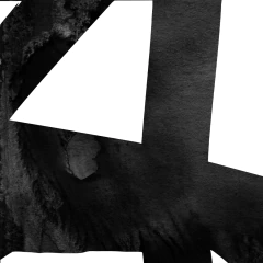 SET BLACK LINES en internet