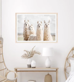LLAMAS