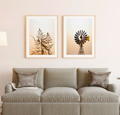 TARDE DE CAMPO - comprar online