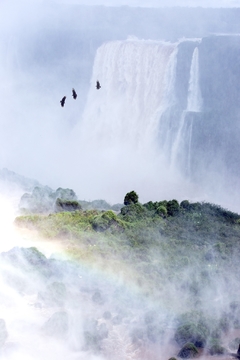 SET IGUAZÚ - comprar online